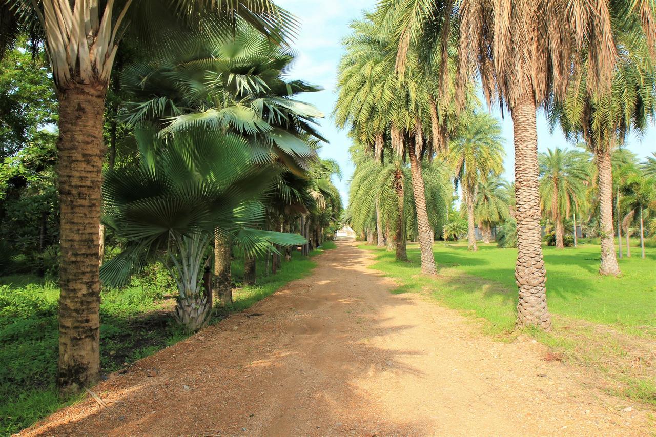 Lopburi Palm Resort Exterior photo